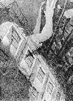  . 1931 . 